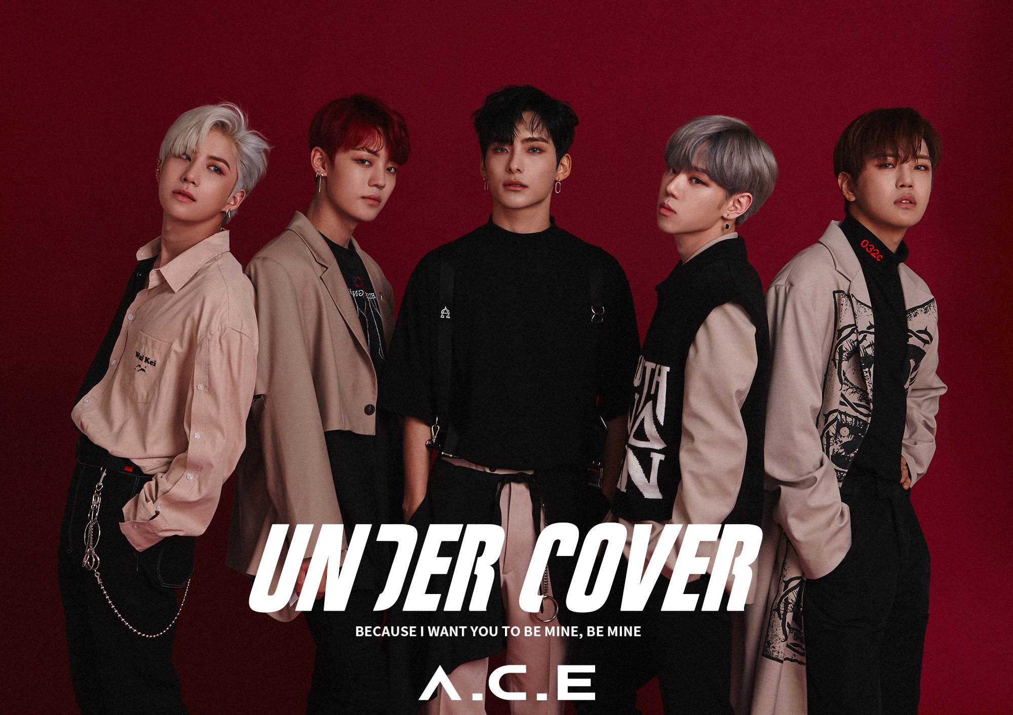 A.C.E 単独イベント「A.C.E JAPAN FAN EVENT 2019 ～ALL I WANT IS ...