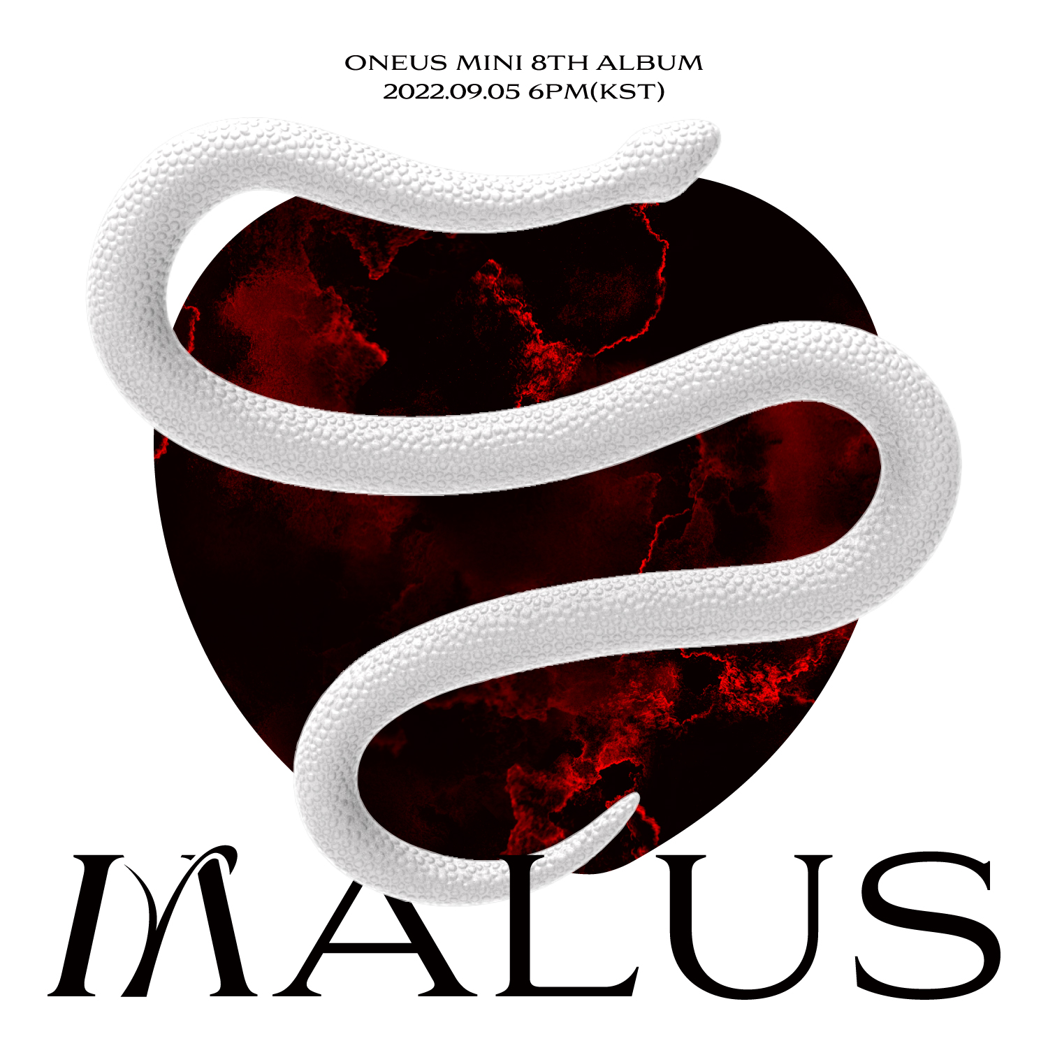 ONEUS 韓国 8th Mini Album [MALUS]  リリースイベント