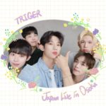 TRIGER 2023 JAPAN LIVE