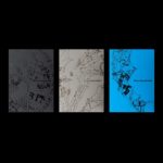 ENHYPEN 7th Mini Album『THE SIN : VANISH』シリアルナンバー特典・オンラインイベント